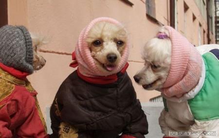 Bientot l'automne !!